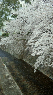 2013033117570000.jpg